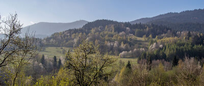 Miejsce katastrofy śmigłowca Mi-2 ↔ Tenczyn, Graczowa