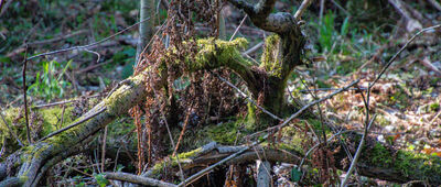 Miejsce katastrofy śmigłowca Mi-2 ↔ Tenczyn, Graczowa