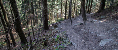 Skrzyżowanie na Luboniu ↔ Przełęcz Glisne