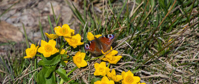 Skrzyżowanie na Luboniu ↔ Przełęcz Glisne