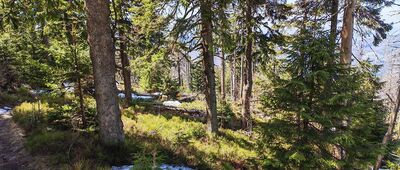 Romanka ↔ Suchy Groń