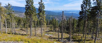 Schronisko PTTK Hala Lipowska ↔ Schronisko PTTK Na Rysiance