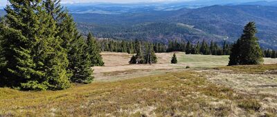 Pod Lipowskim Wierchem ↔ Schronisko PTTK Hala Lipowska