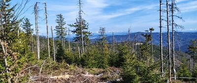 Hala Redykalna ↔ Pod Lipowskim Wierchem [Okolice RedykalnegoWerchu.]