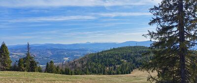 Hala Redykalna [Hala Redykalna]