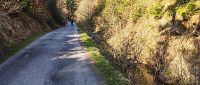 Żabnica, Skałka ↔ Hala Boracza