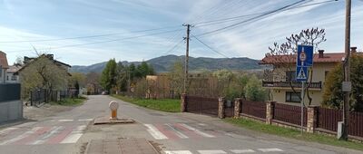 Brzuśnik