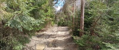 Beskid Korbielowski ↔ Przełęcz pod Beskidem Krzyżowskim