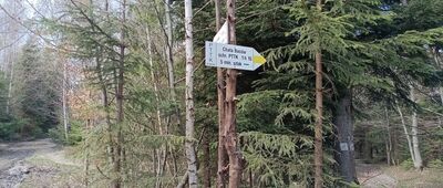 Przełęcz pod Beskidem Krzyżowskim