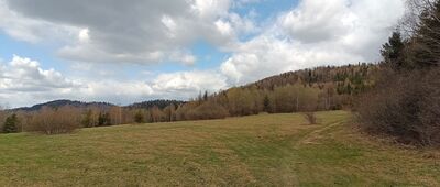 Przełęcz pod Beskidem Krzyżowskim ↔ Przełęcz Półgórska