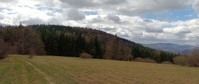 Przełęcz Półgórska