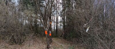 Przełęcz Półgórska