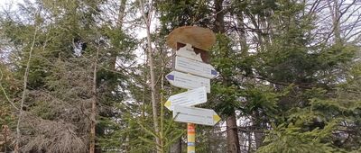 Przełęcz Jałowiecka