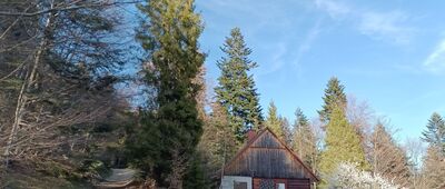 Skrzyżowanie przy Słowiance ↔ Lachowe Młaki