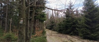 Przełęcz Jałowiecka, odejście szlaku czarnego