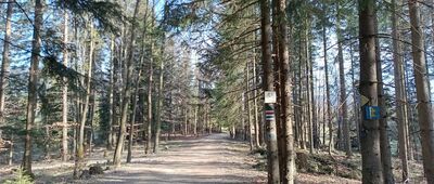 Skrzyżowanie przy Słowiance