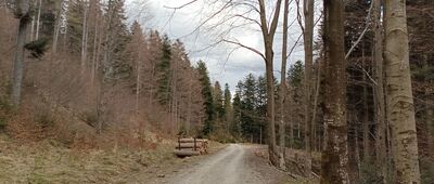 Pod Baranim Groniem ↔ Przełęcz Jałowiecka, odejście szlaku czarnego