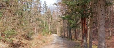 Rozejście szlaków ↔ Pod Baranim Groniem