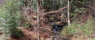 Rozejście szlaków ↔ Pod Baranim Groniem