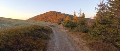 Przełęcz Pawlusia ↔ Hala Pawlusia