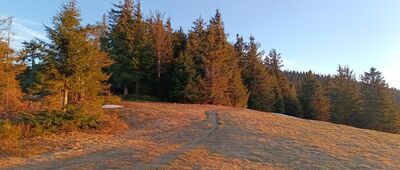 Hala Pawlusia