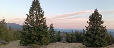 Hala Rysianka ↔ Trzy Kopce