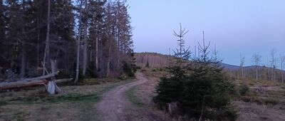 Hala Rysianka ↔ Trzy Kopce