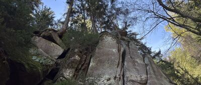 Pusta Ścieżka, parking ↔ Rozdroże nad Skalnymi Wrotami