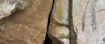 Pusta Ścieżka, parking ↔ Rozdroże nad Skalnymi Wrotami