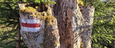 Przełęcz Karkoszczonka ↔ Kotarz