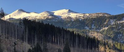 Kiry ↔ Cudakowa Polana [Czerwone Wierchy z początku Doliny Kościeliskiej]