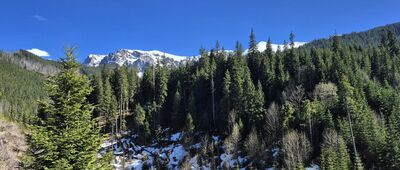 Zahradziska ↔ Przysłop Miętusi [Czerwone Wierchy z mostku na Ścieżce nad Reglami, przed Przysłopem Miętusim]