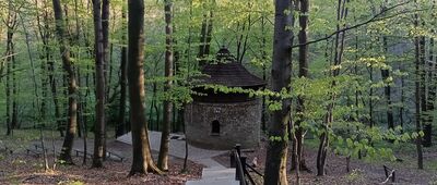 Sztolnia Czarnego Pstrąga