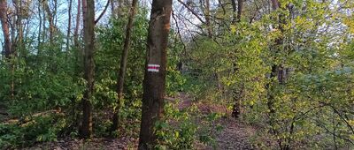 Repty Śląskie, park ↔ Sztolnia Głęboka Fryderyk