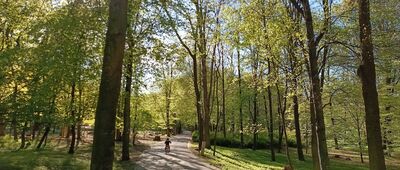 Tarnowskie Góry, cmentarz św. Anny