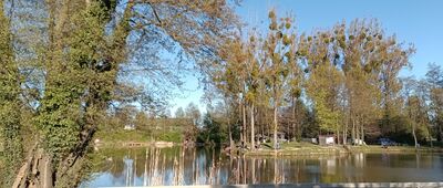 Repty Śląskie, park ↔ Tarnowskie Góry, cmentarz św. Anny