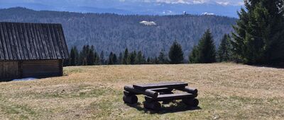 Polana Jaworzyna Kamienicka ↔ Polana Przysłop Dolny [Przysłop Górny, widok na wieżę widokową na Magurkach]