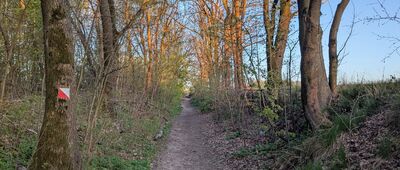 Peperówka, granica parku narodowego ↔ Smardzowice [Ojcowski Park Narodowy - szlak w kierunku Smardzowic]