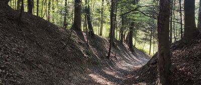 Rozejście szlaków ↔ Rozejście szlaków