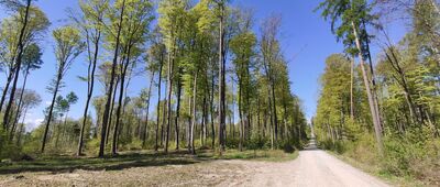 Rozejście szlaków ↔ Zawada, cmentarz