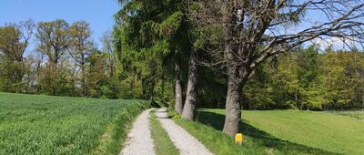 Rozejście szlaków ↔ Zawada, cmentarz