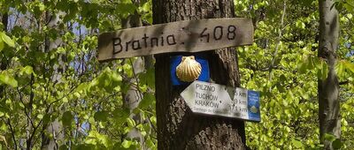 Góra Bratnia