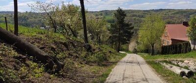 Braciejowa, Dział ↔ Gumniska, kościół