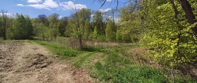 Gumniska, kościół ↔ Polana Kałużówka [Najlepiej kierować się na wprost do gł drogi]