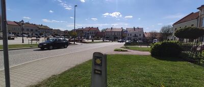 Pilzno