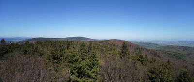 Kalenica