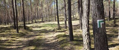 Rozejście szlaków ↔ Mokrz, stacja kolejowa