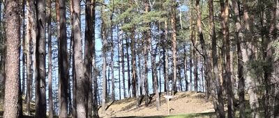 Rozejście szlaków ↔ Mokrz, stacja kolejowa