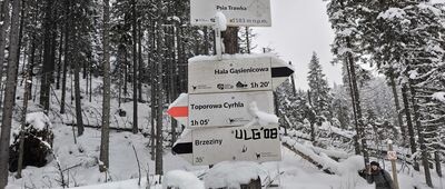 Psia Trawka [Na Psiej Trawce]