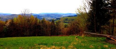 Przełęcz Beskidek ↔ Wisła, Jawornik, ul. Soszowska